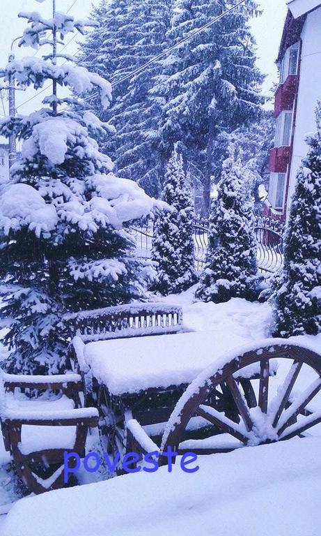 Pension Casa Dunarea Предял Экстерьер фото