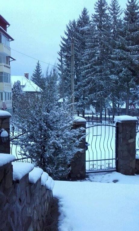 Pension Casa Dunarea Предял Экстерьер фото